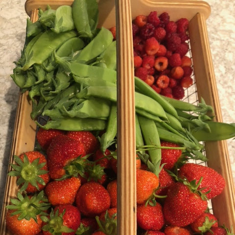 Personalized Garden Basket - 2 sizes - Harvest Basket for Vegetables - Gift for Gardener