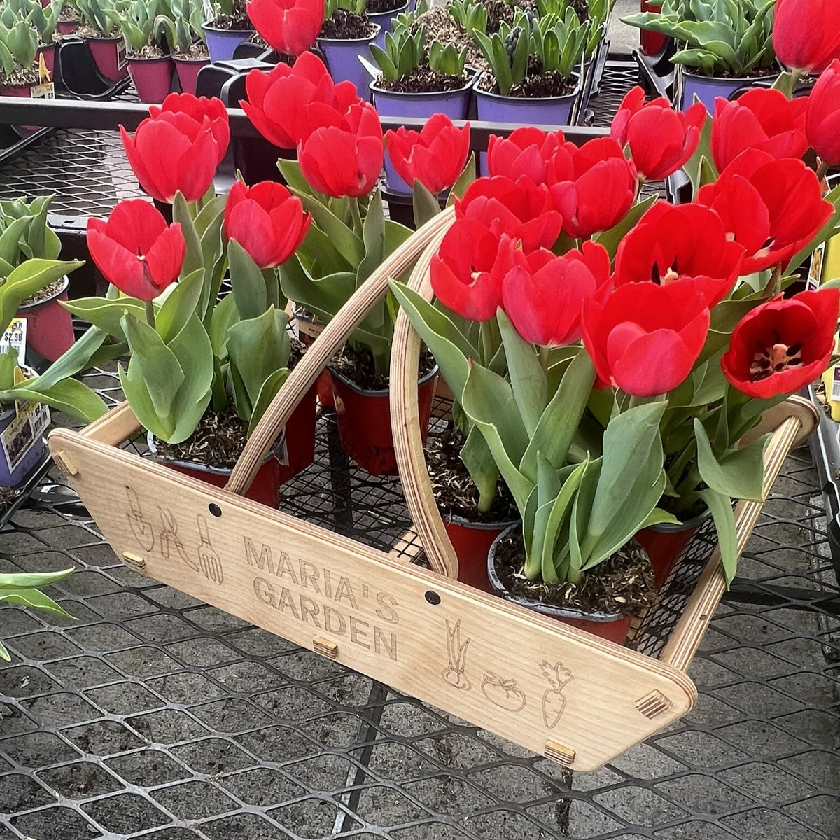 Personalized Garden Basket - 2 sizes - Harvest Basket for Vegetables - Gift for Gardener