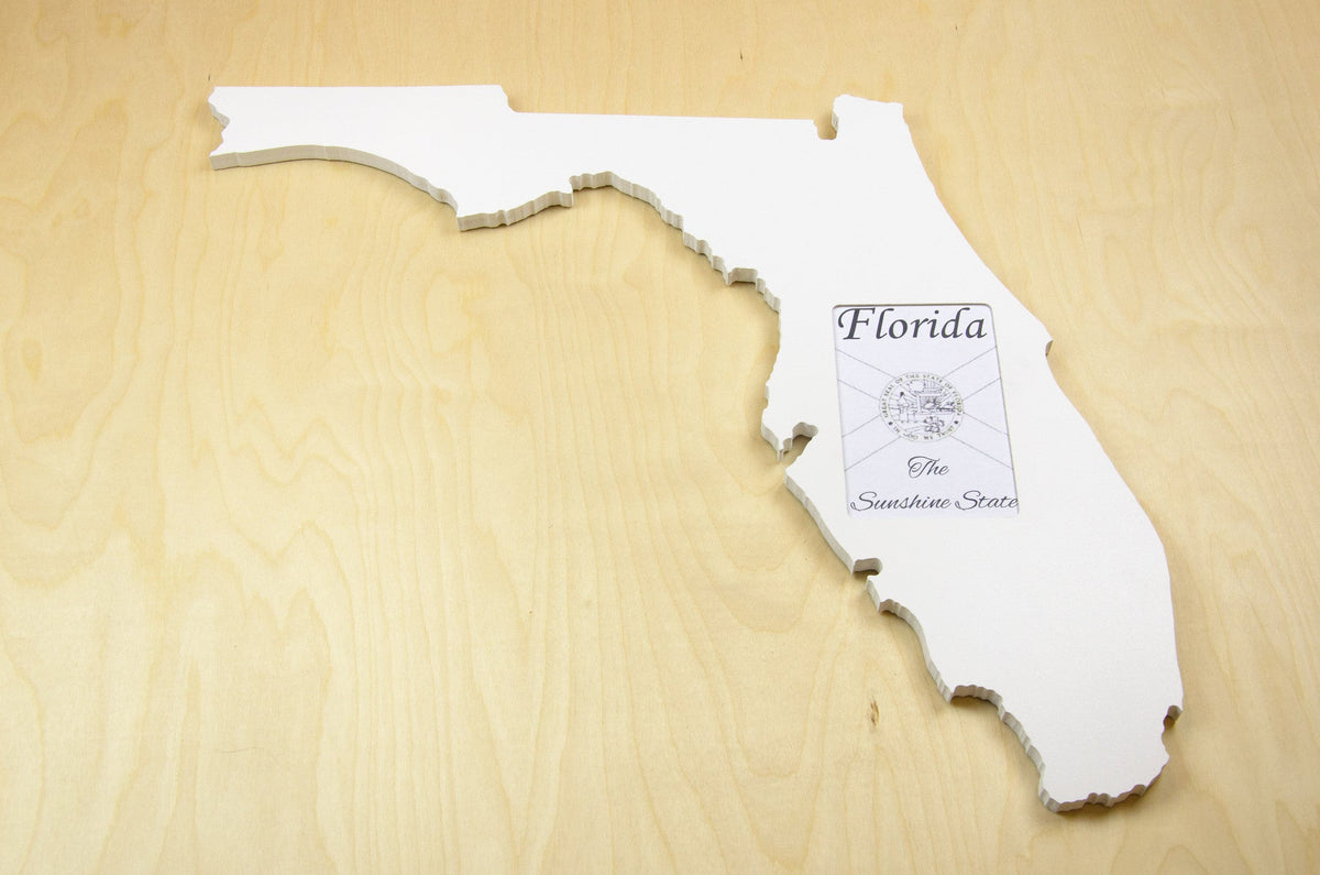 State Shaped Frame - White