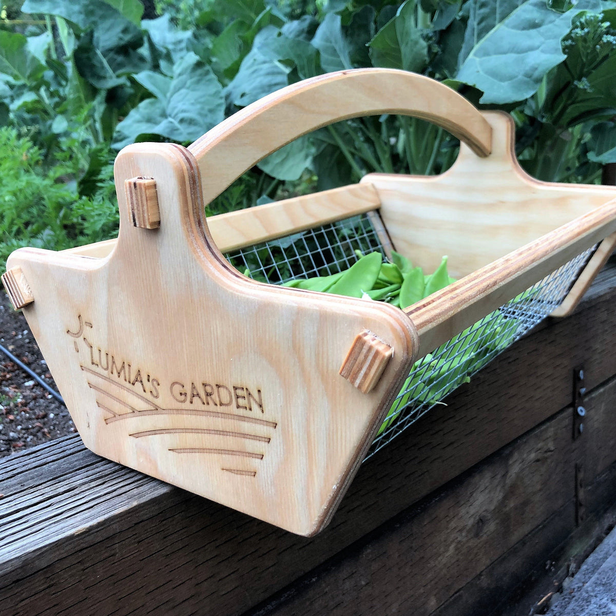 Personalized Harvest Basket - Gift for Gardener - Backyard Garden Basket