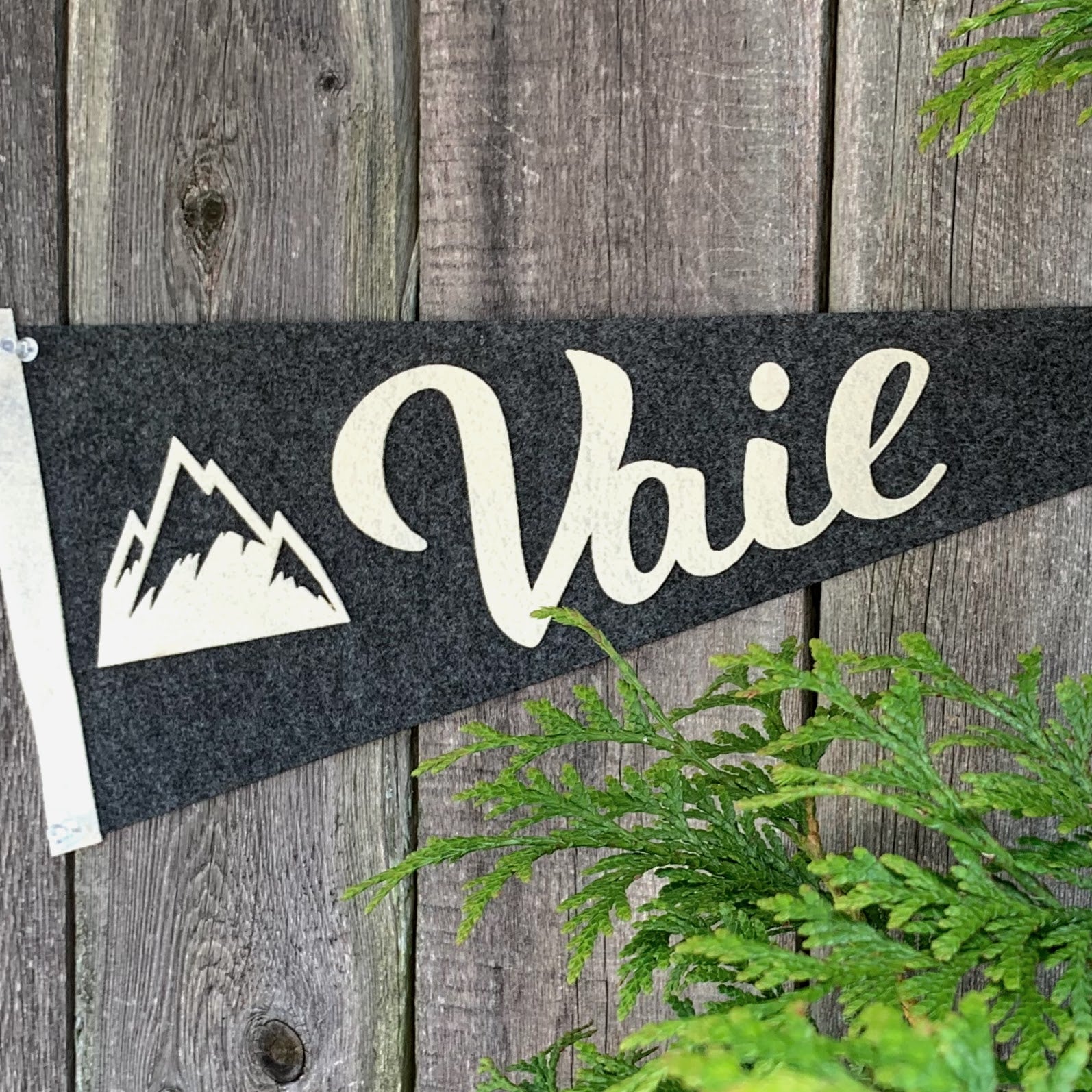 Fanion Wimpel Pennant AS VITRE Fanion Wimpel Pennant AS VITRE